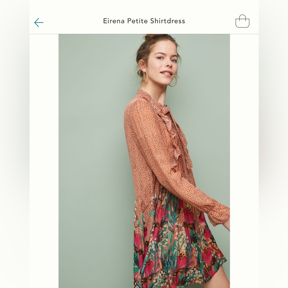 Bl-nk Eirena Petite Shirtdress purchased from Anthropologie. Petite Medium.